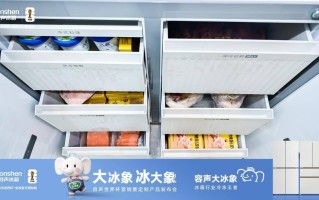 容声大冰象霸榜背后：一场中式储鲜的精准突围